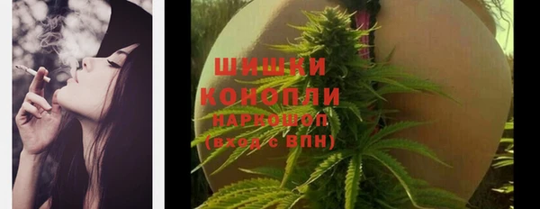 прущие грибы Белоозёрский