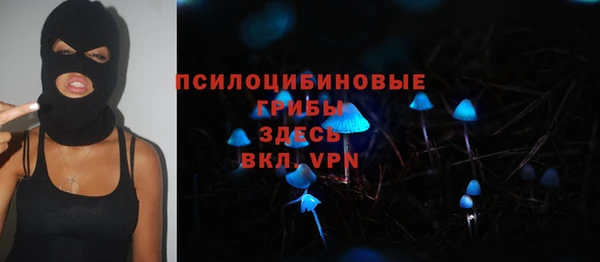 а пвп мука Беломорск