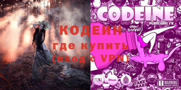 гашик Нея