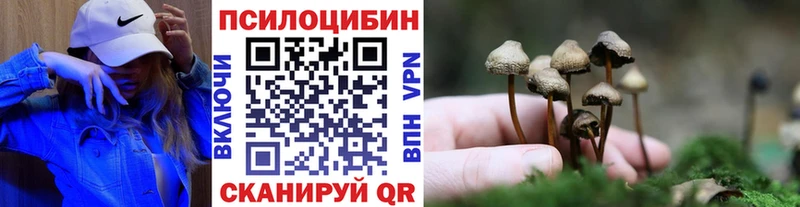 Псилоцибиновые грибы ЛСД  Жуковка 